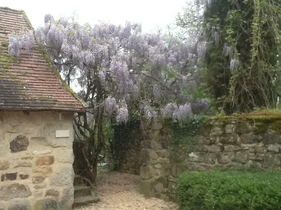 Domaine De Sautou Otel Castanet  Dış mekan fotoğraf